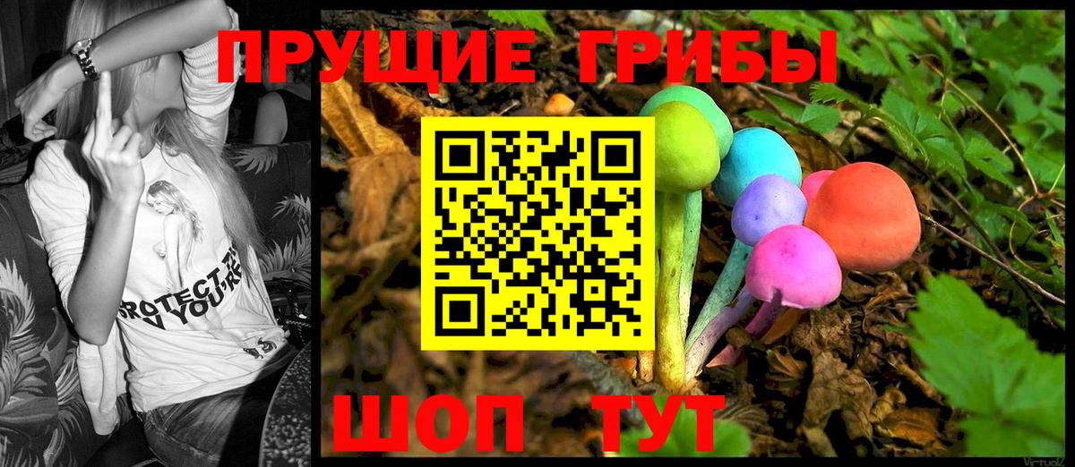Псилоцибиновые грибы Cubensis Мончегорск